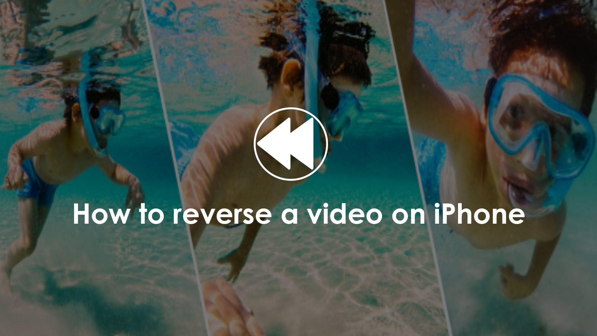 how to reverse a video on iphone