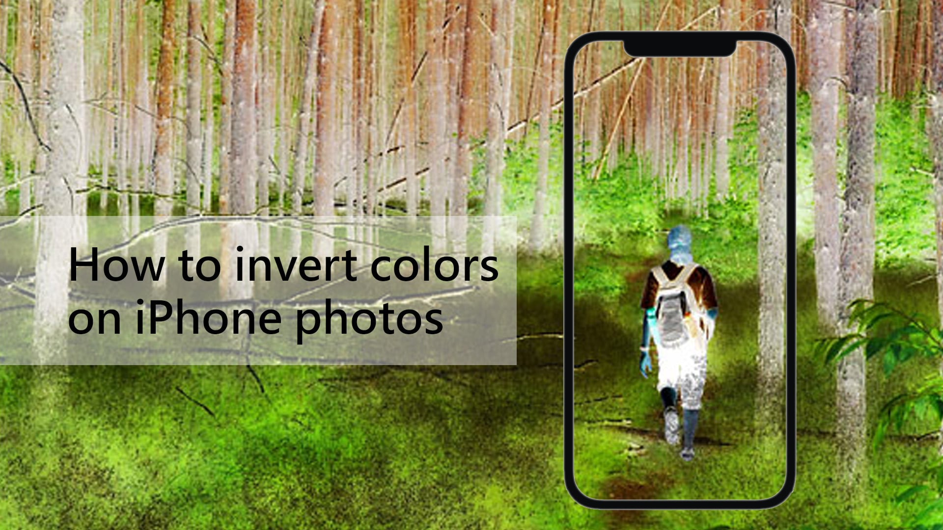 How to invert colors on iPhone photos