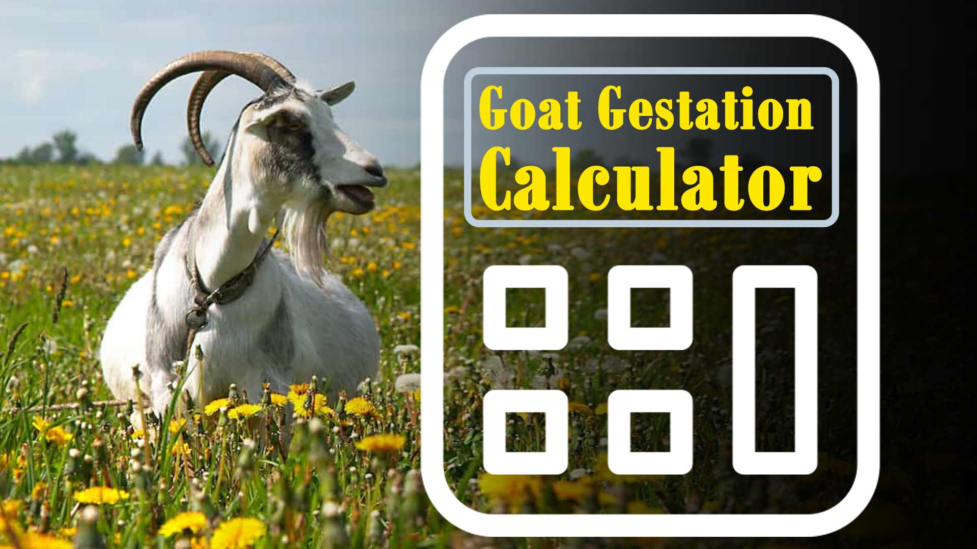 Goat Gestation Calculator
