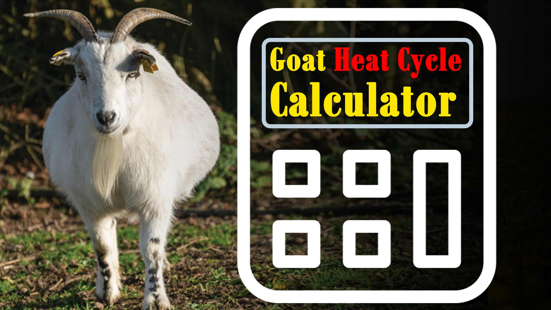 Goat Heat Cycle Calculator