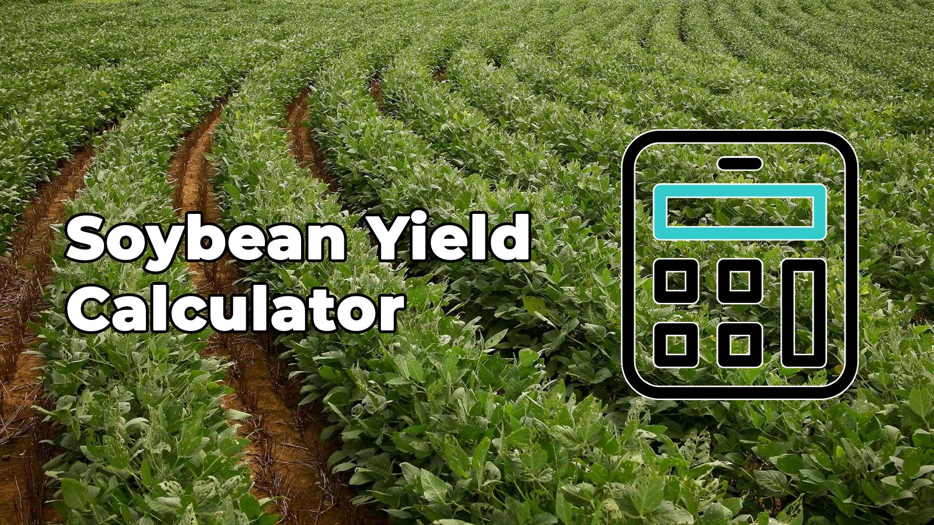 Soybean Yield Calculator