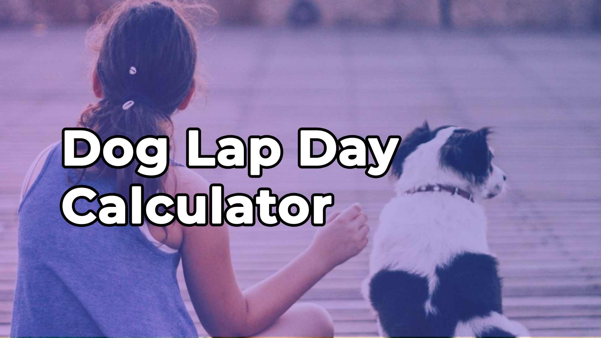 Dog Lap Day Calculator