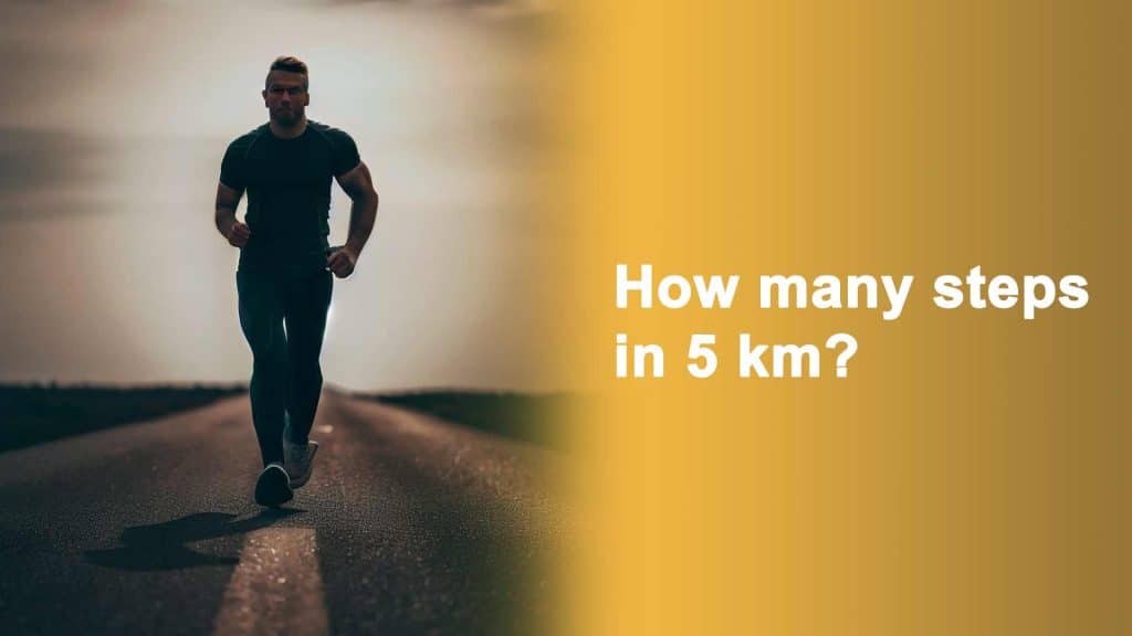 How many steps in 5 km?